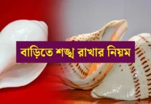 শঙ্খের টোটকা: বাড়িতে সুখ-সমৃদ্ধি ও ধনলাভের জন্য শঙ্খ ব্যবহারের ১০টি কার্যকরী নিয়ম | Conch Shell Astrology Benefits South-facing Conch Shell for Wealth
