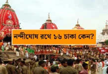 পুরীর রথযাত্রা: শ্রীজগন্নাথদেবের রথ ও নন্দীঘোষের অজানা আধ্যাত্মিক রহস্য | Puri Rath Yatra Significance Nandighosh Rath of Jagannath