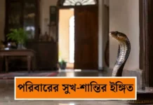 বাড়িতে কিংবা রাস্তায় সাপ দেখা কি শুভ? জানুন হিন্দু শাস্ত্রের অমূল্য সংকেত