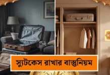 বাড়িতে খালি স্যুটকেস যেখানে-সেখানে রাখছেন? জেনে নিন বাস্তুশাস্ত্রের গুরুত্বপূর্ণ নির্দেশাবলি
