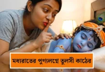 জন্মাষ্টমীর বিশেষ রাতে কৃপা পেতে চান? জেনে নিন গোপাল পূজার অলৌকিক শাস্ত্রীয় নিয়ম